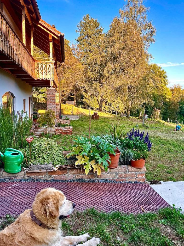 Sunhill Appartments, Klimatisiert Winhoring エクステリア 写真